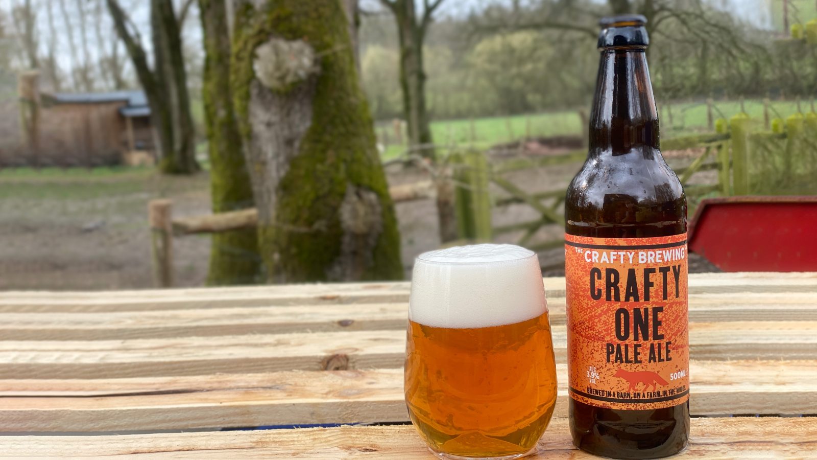Buy Crafty One Pale Ale Online Crafty Brewing